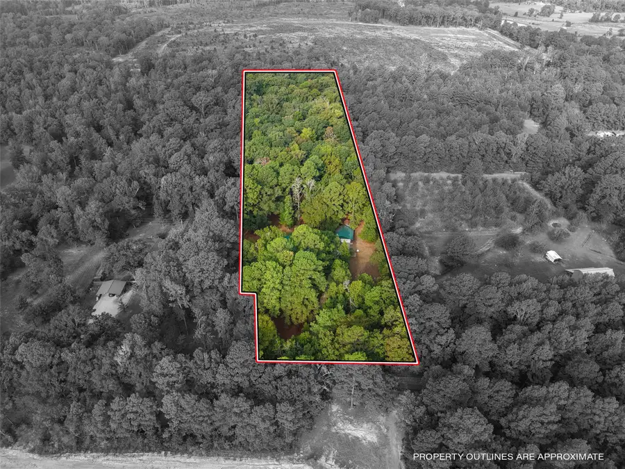 1875 County Road 1577, Hughes Springs, TX 75656 - #3