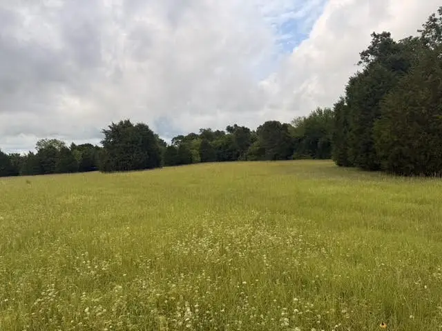TBD A Cr 2500, Eustace, TX 75124 - #2