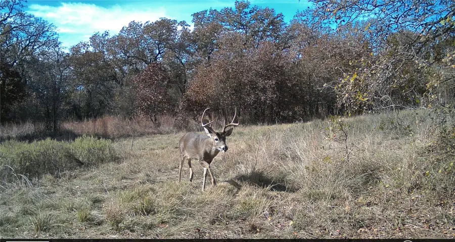 000 Fm-2210, Perrin, TX 76486 - #2