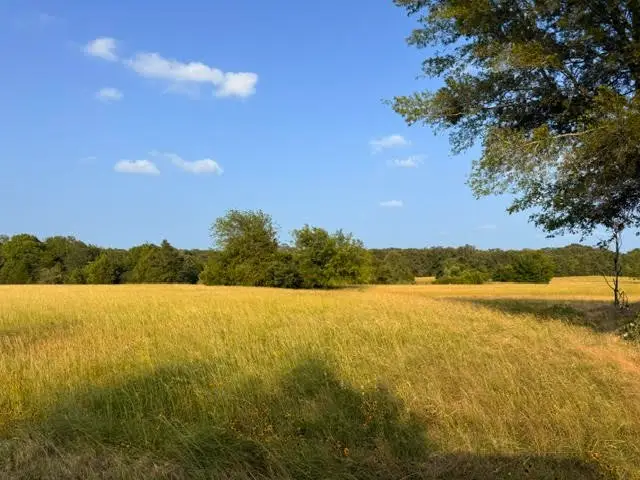 TBD Cr 2501, Eustace, TX 75124 - #2