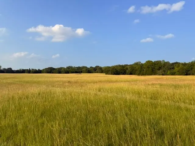 TBD Cr 2501, Eustace, TX 75124 - #3
