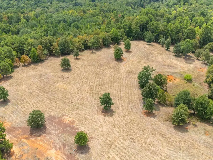 TBD Silk Tree Road, Gilmer, TX 75645 - #2