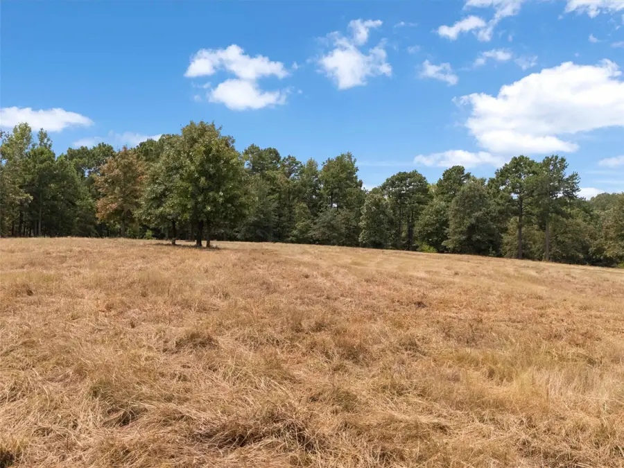 TBD Silk Tree Road, Gilmer, TX 75645 - #3