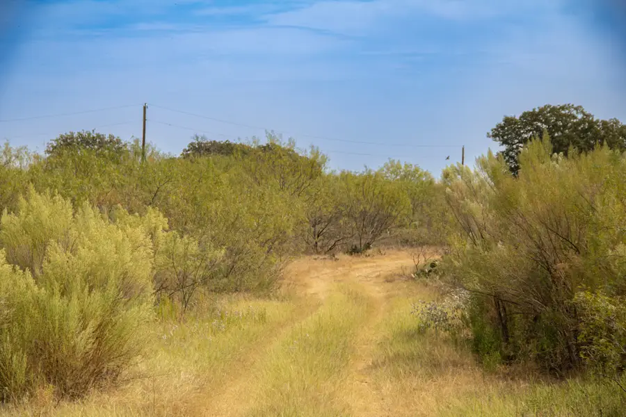 TBD Tract 4 County Road 166, Gorman, TX 76454 - #3