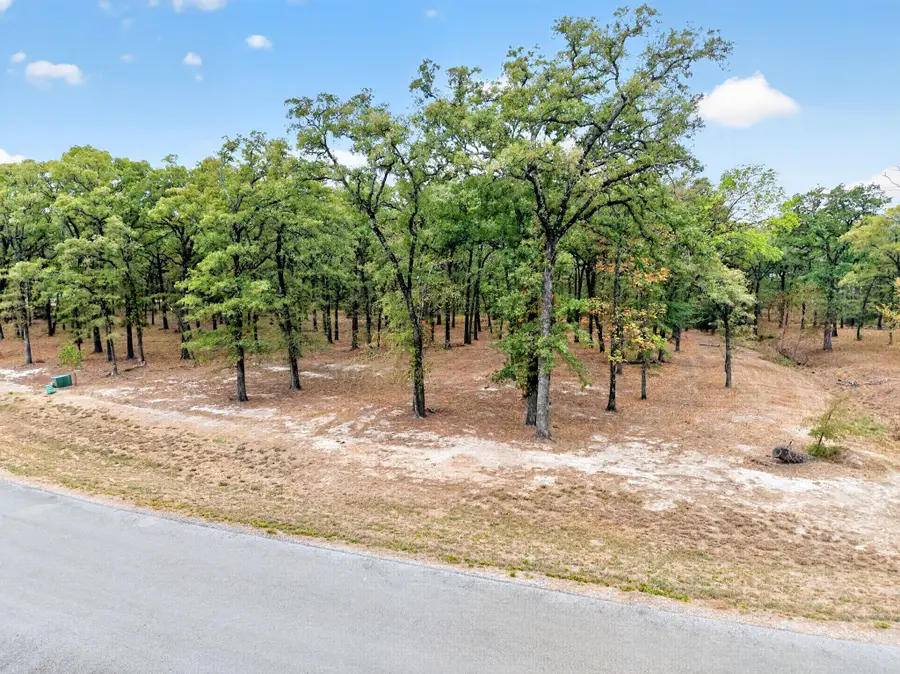 Lot 38 Vintage Shore Drive, Quinlan, TX 75474 - #3
