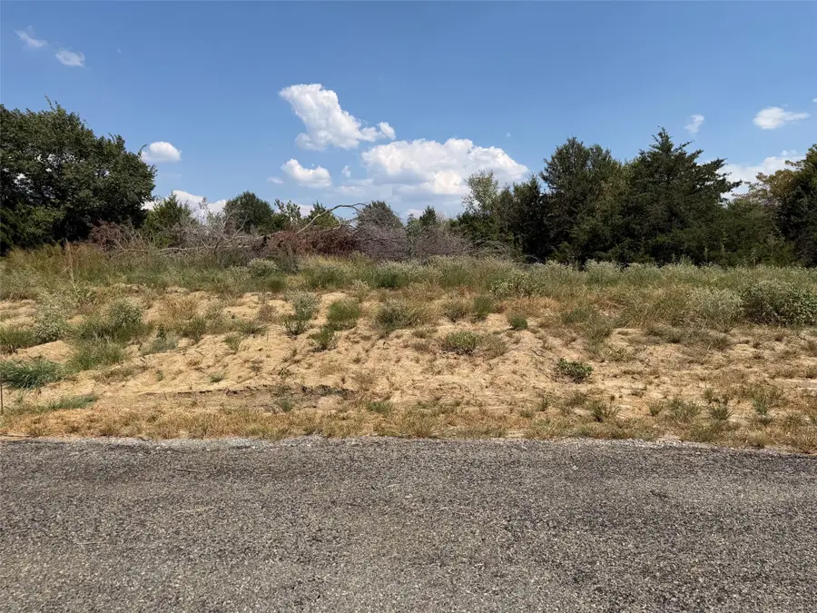 Lot 14 County Road 1110, Farmersville, TX 75442 - #2
