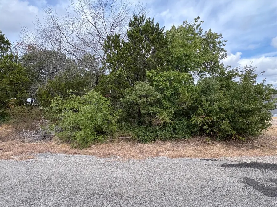 4426 W Oak Trail, Granbury, TX 76048 - #3
