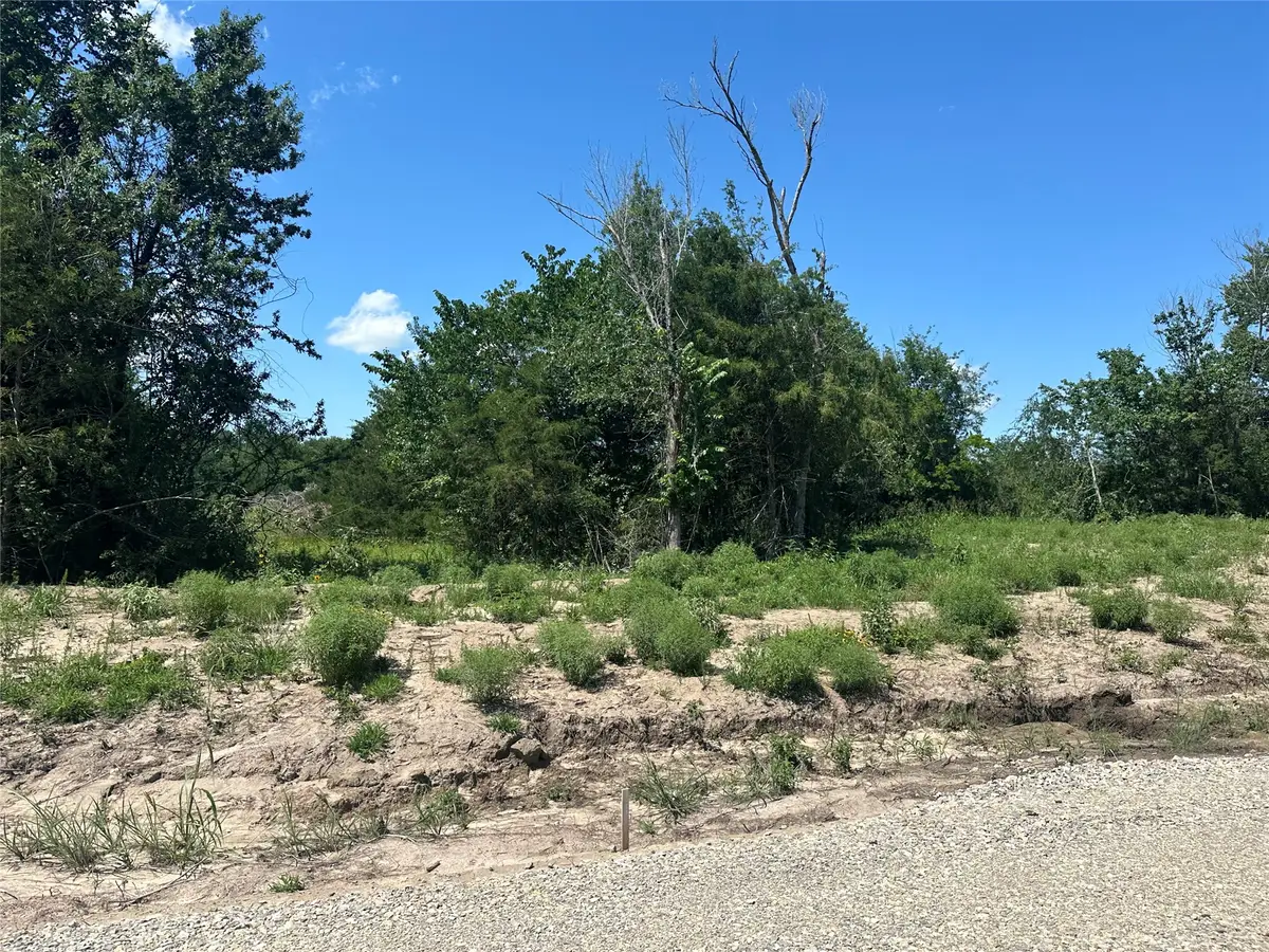Lot 15 Co Rd 1110, Farmersville, TX 75442 - #1