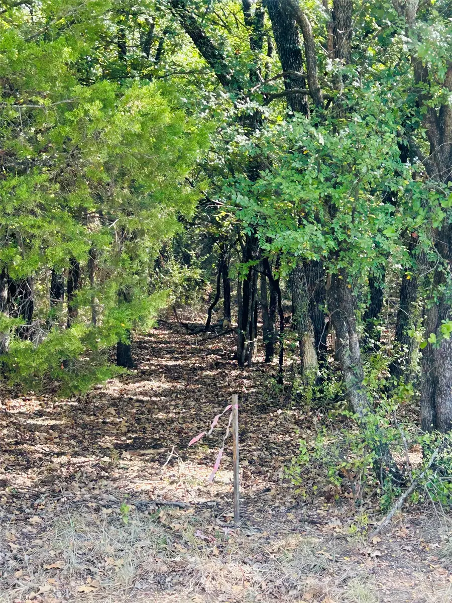 TBD Westmeadow Dr, Whitney, TX 76692 - #2