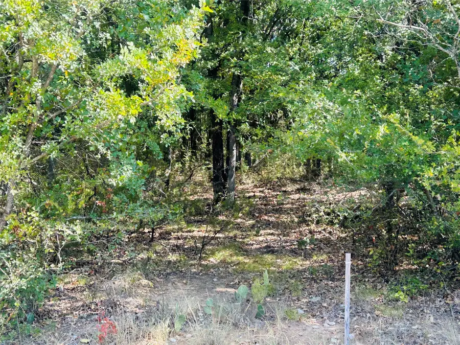TBD Westmeadow Dr, Whitney, TX 76692 - #3
