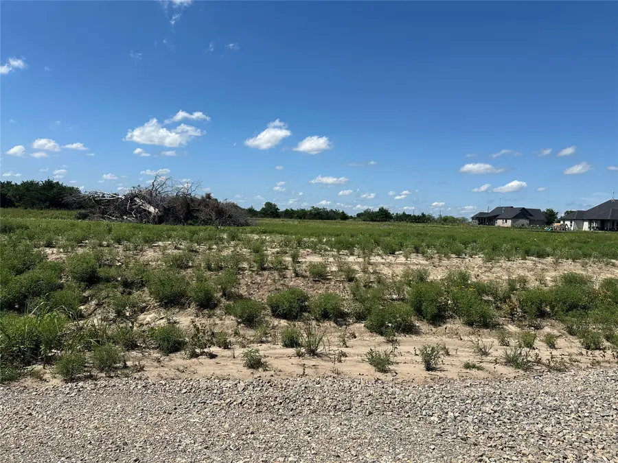 Lot 16 County Road 1110, Farmersville, TX 75442 - #3