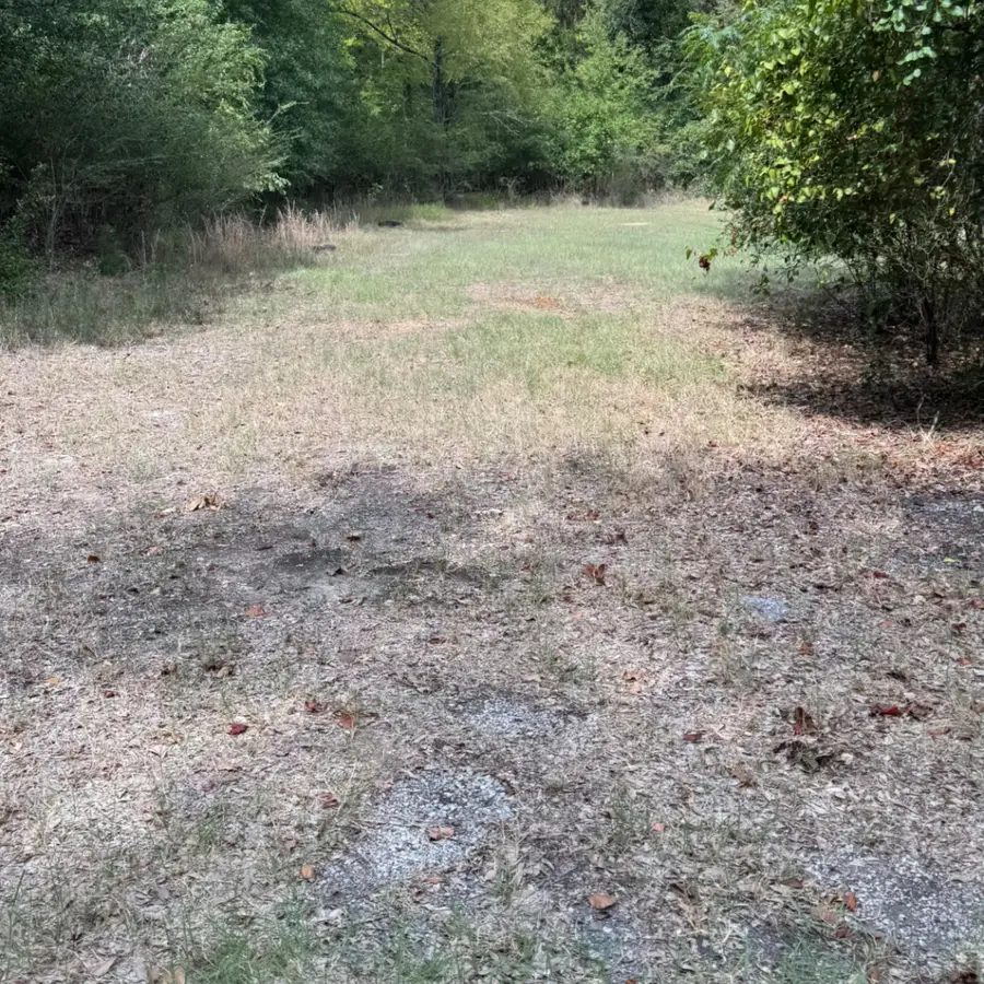0000 Tbd W. Moss Street, Malakoff, TX 75148 - #2