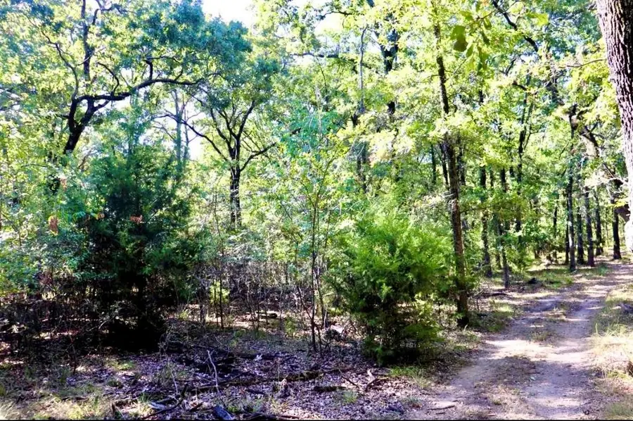 804 Trosper Trace, Quinlan, TX 75474 - #3