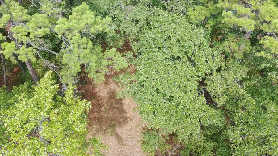 115 Private Road 7533, Hawkins, TX 75765 - #3