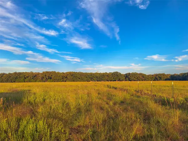 TBD County Road 2147 #C, Kemp, TX 75143