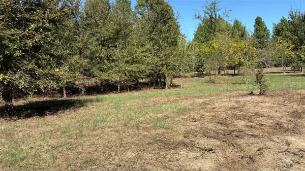 920 County Road 1226, Quitman, TX 75783