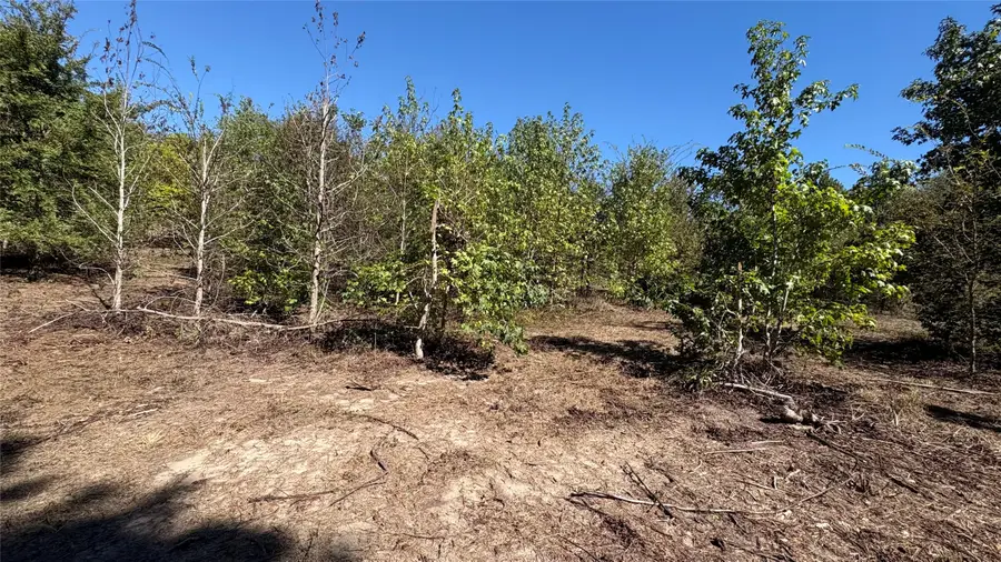 920 County Road 1226, Quitman, TX 75783 - #2