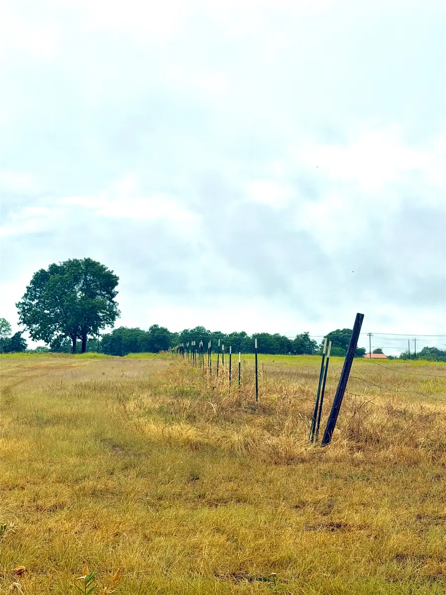 TBD Tract D Fm 513 Tx, Point, TX 75453 - #3
