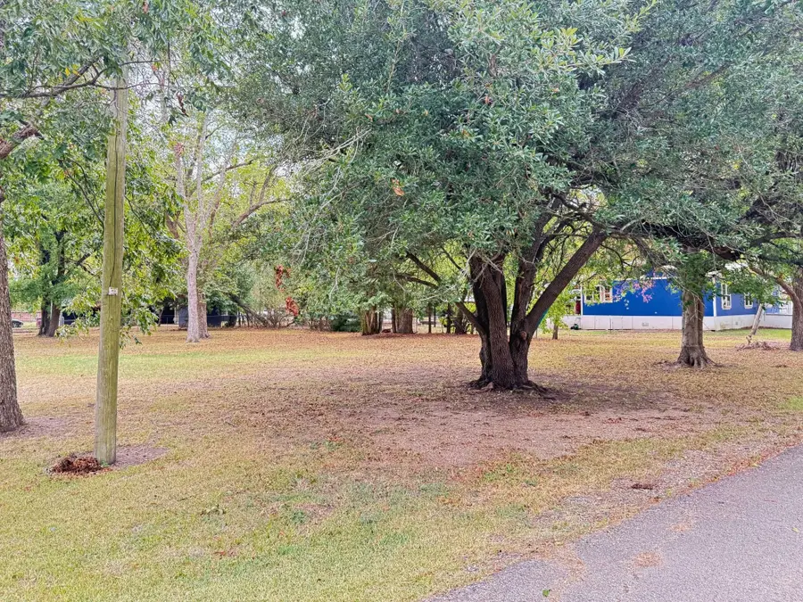 202 Paris Street, Pecan Gap, TX 75469 - #3