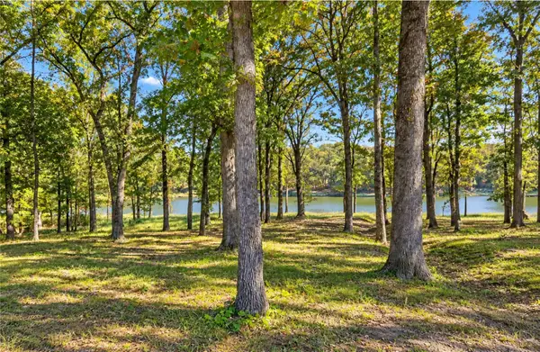 Lot 55 Private Road 52415, Leesburg, TX 75451