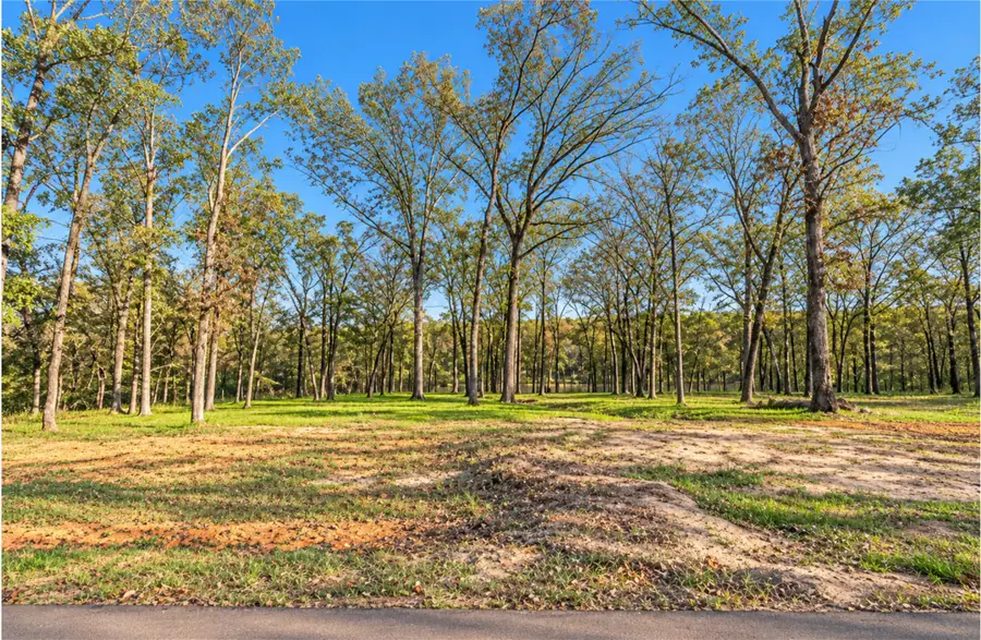 Lot 55 Private Road 52415, Leesburg, TX 75451 - #3