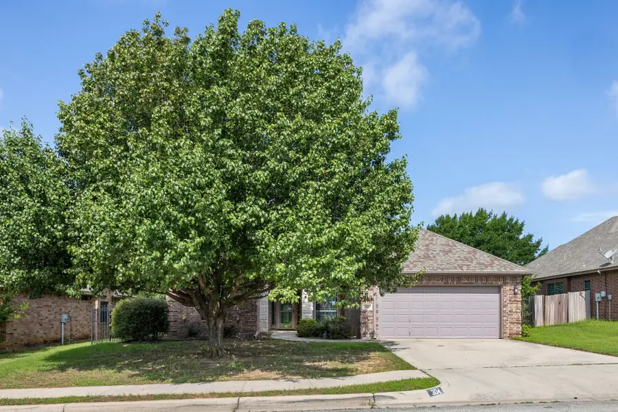 304 Jade Lane, Weatherford, TX 76086 - #2