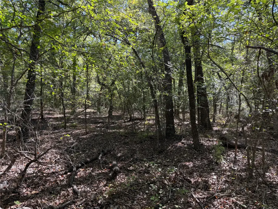 0 R And R Circle #Lot 12, Kemp, TX 75143 - #2