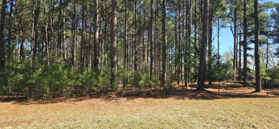 8300 Trophy Point, Larue, TX 75770 - #3