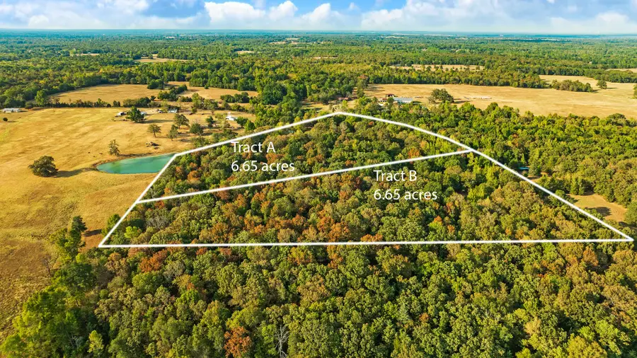 TRACT B Cr 44400, Powderly, TX 75473 - #3