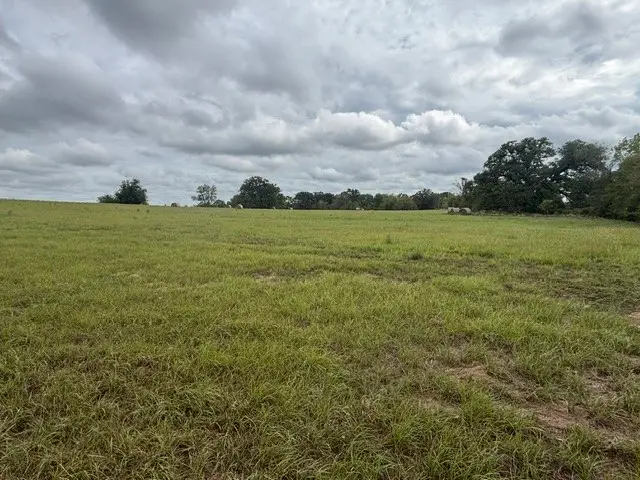 TBD Fm 2709, Eustace, TX 75124 - #1