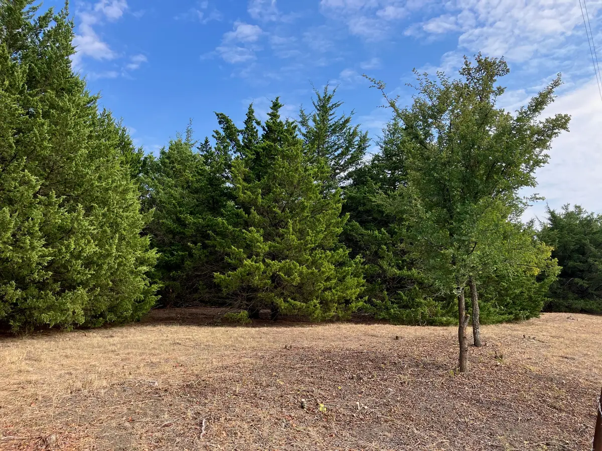 TBD County Road 670, Blue Ridge, TX 75424 - #1