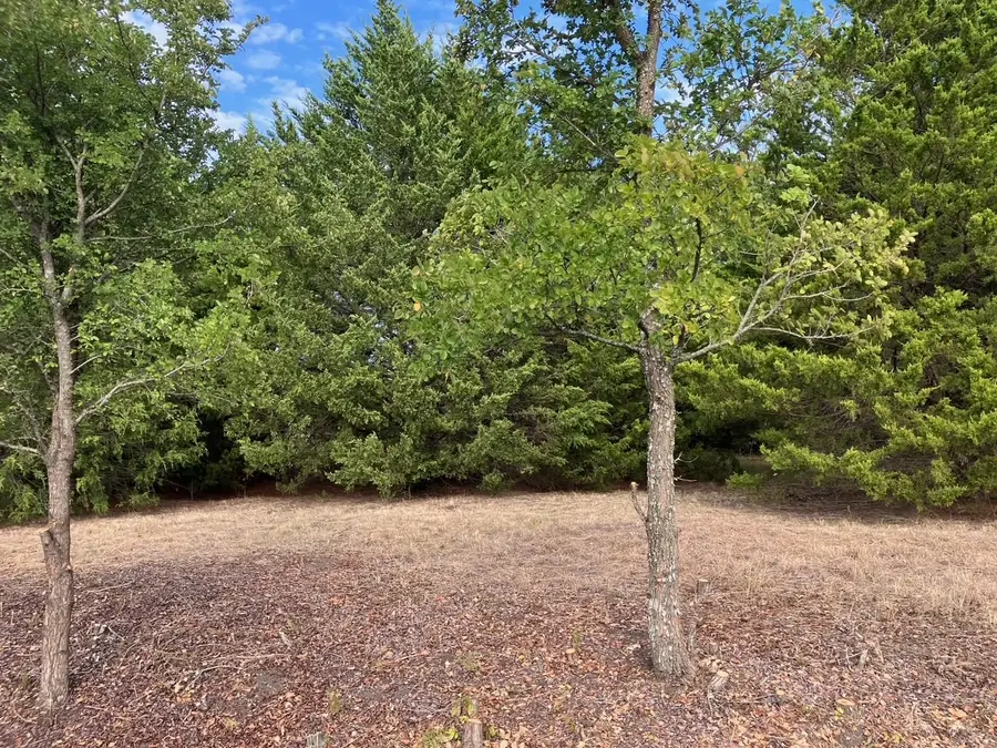 TBD County Road 670, Blue Ridge, TX 75424 - #2