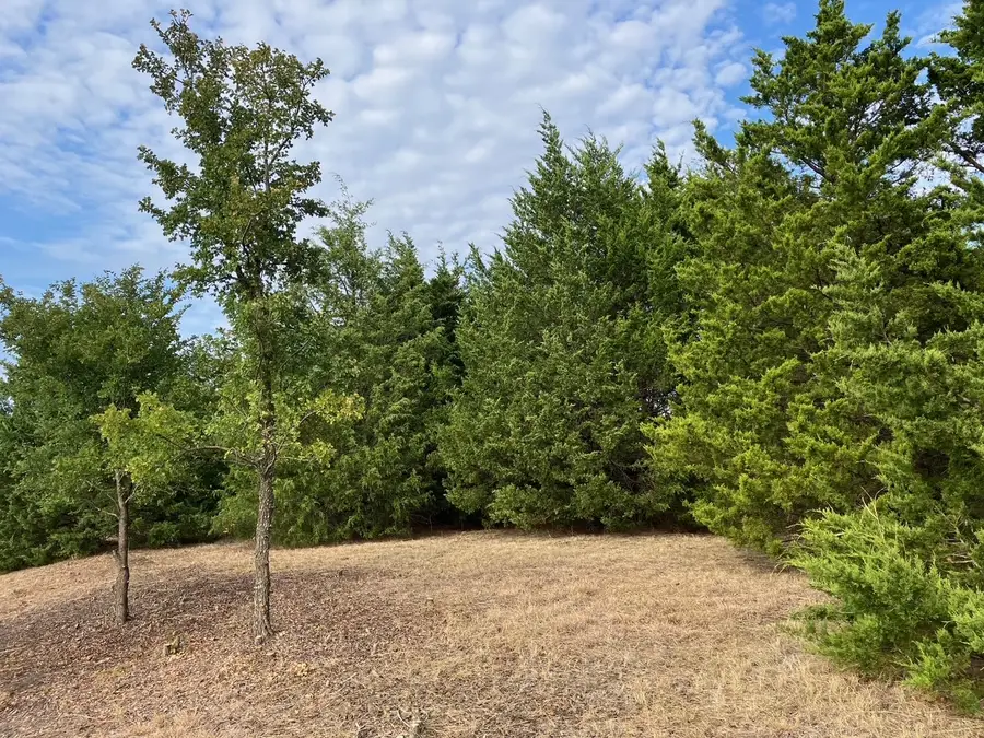 TBD County Road 670, Blue Ridge, TX 75424 - #3