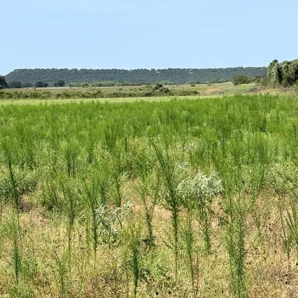 tbd Keller, Mineral Wells, TX 76067