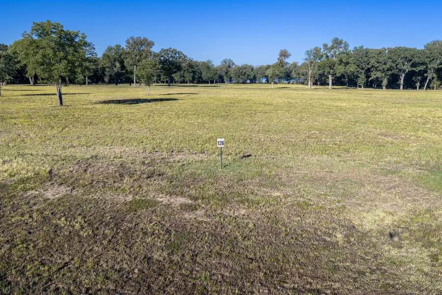 360 Lakewood Lane, Honey Grove, TX 75446 - #2