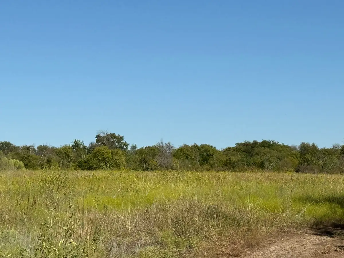 204 Forest Lane, Hillsboro, TX 76645 - #1