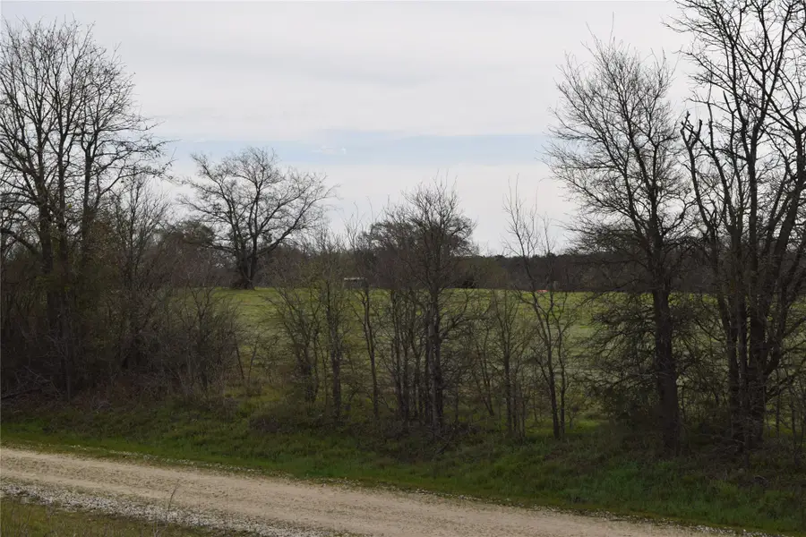 1110 Main, Streetman, TX 75859 - #2