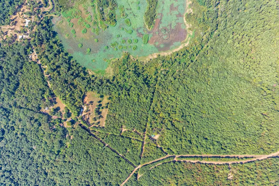 TBD Willow Point Marina Rd, Jefferson, TX 75657 - #3