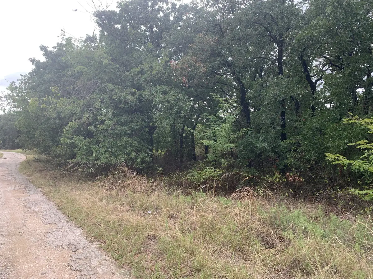 Lot3 Blk12 Lindsey Lane, Runaway Bay, TX 76426 - #1