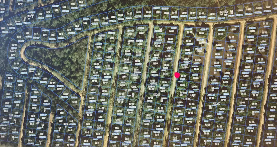 TBD Sec 31, Blk 4, Lot 22 Eagle Pass St, Hilltop Lakes, TX 77871 - #3