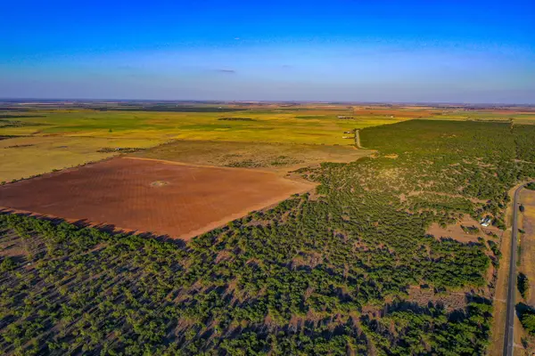 TBD Fm 2279, Rochester, TX 79544