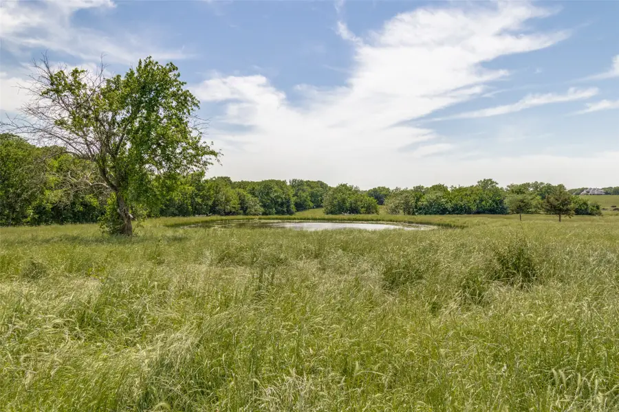 7163 - 2 Cr 573, Blue Ridge, TX 75424 - #2