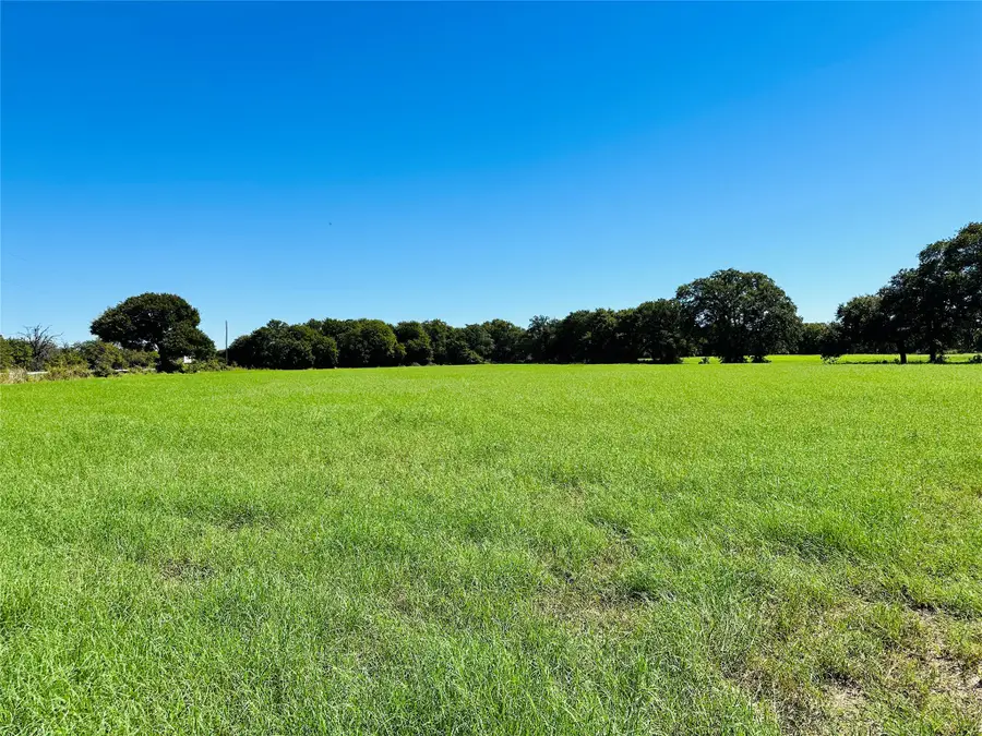 8593 State Highway 36 E, Cross Plains, TX 76443 - #3