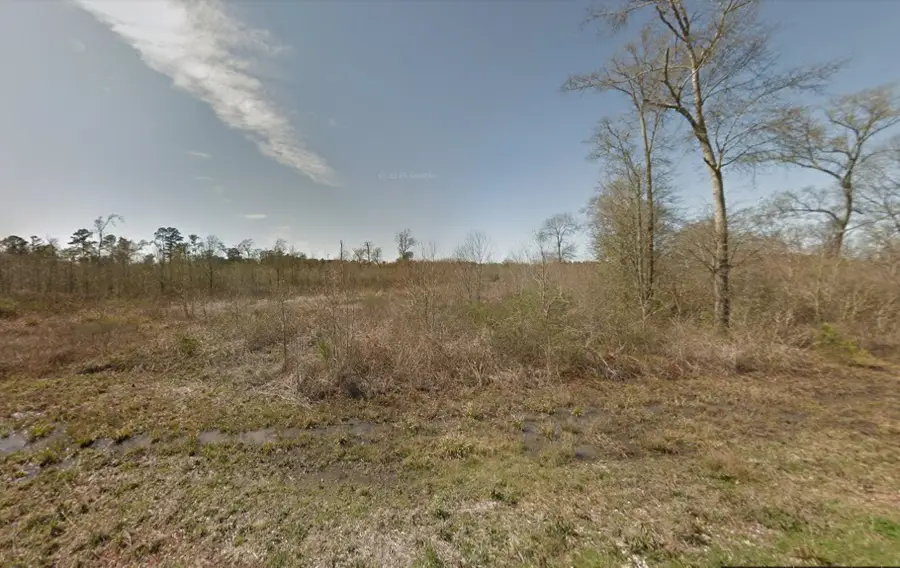 TBD Polar Road, Orange, TX 77632 - #2
