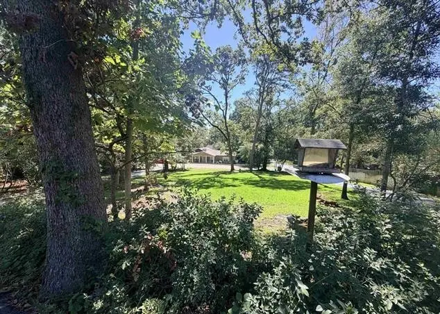 1205 Lake Cross Road, Hideaway, TX 75771 - #3