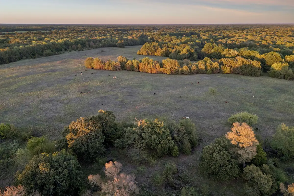 TBD Rs County Road 4310, Point, TX 75472 - #1
