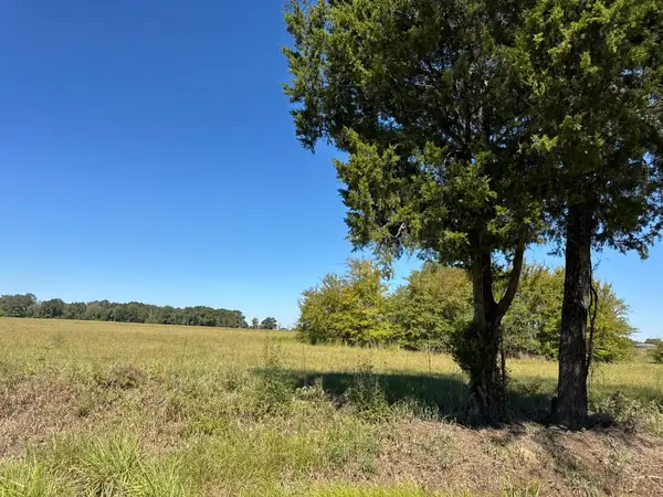 Lot 8 County Road 2922, Eustace, TX 75124