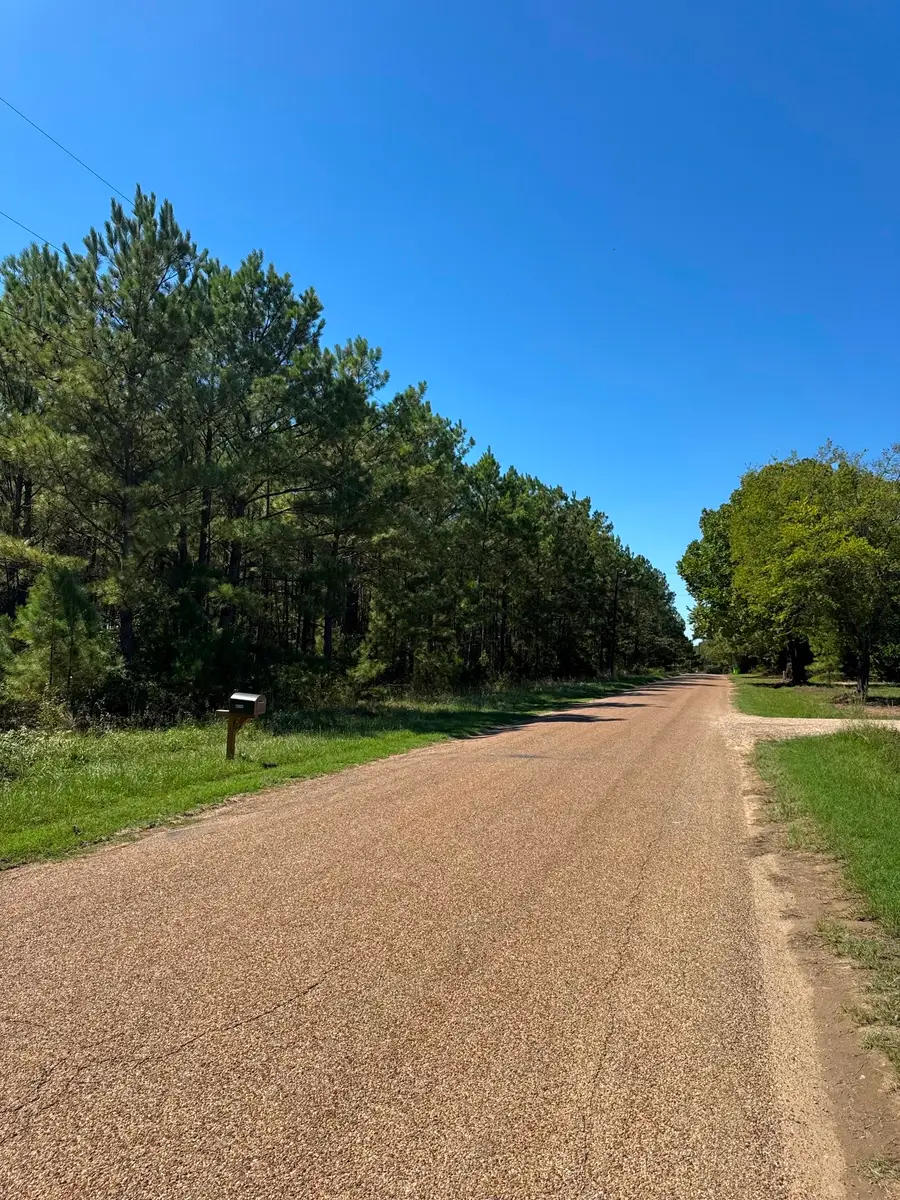 Lot 9 County Road 2922, Eustace, TX 75124 - #3
