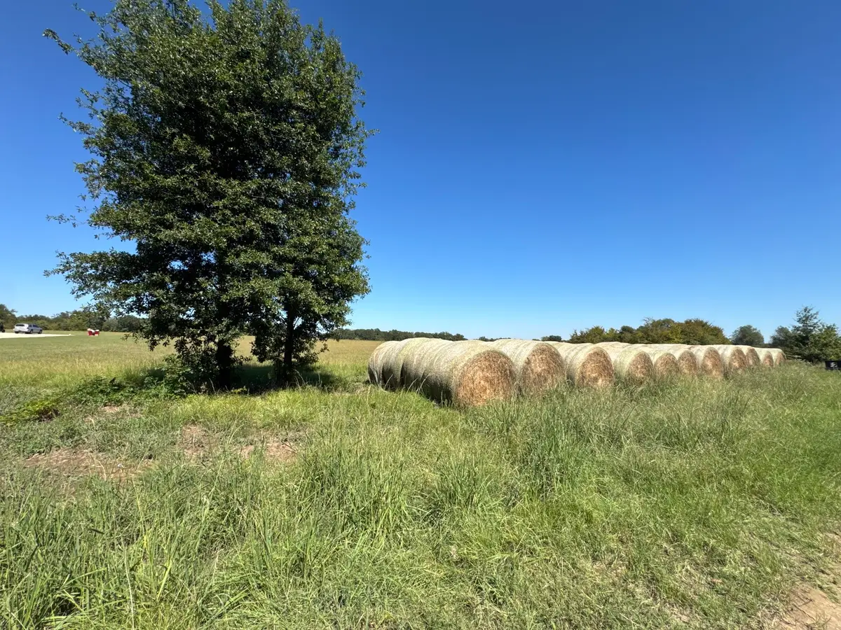 Lot 10 County Road 2922, Eustace, TX 75124 - #1