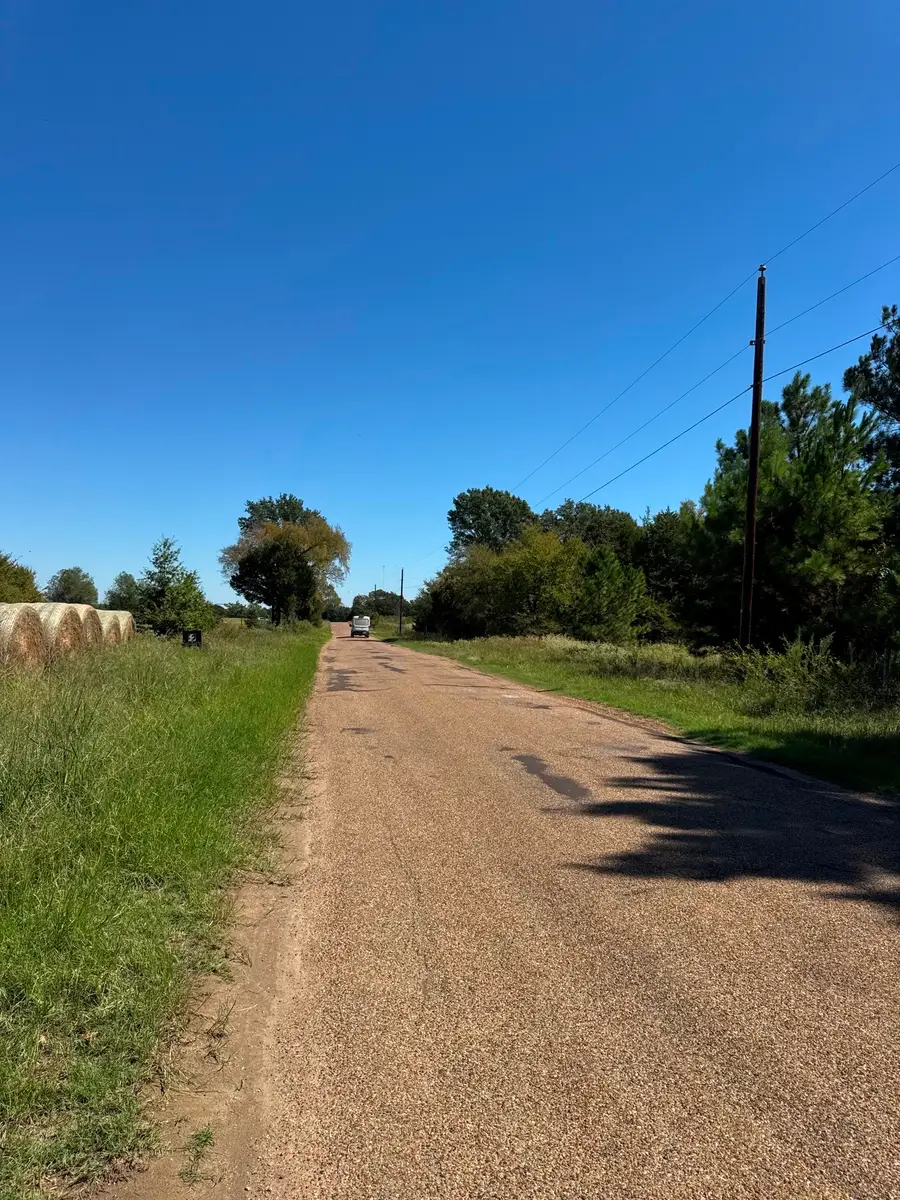 Lot 10 County Road 2922, Eustace, TX 75124 - #2